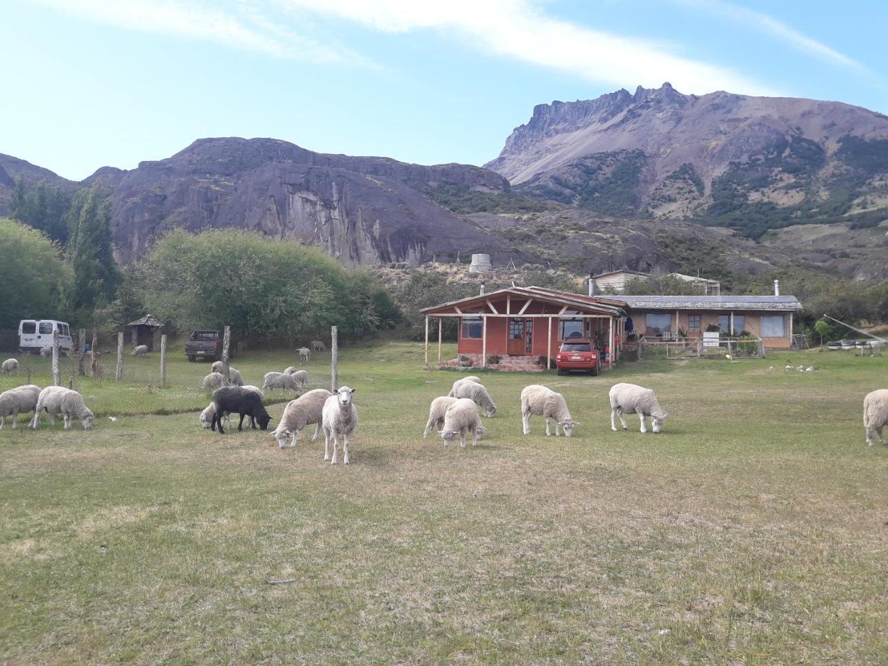 Hospedaje El Juncal Puerto Ingeniero Ibanez エクステリア 写真